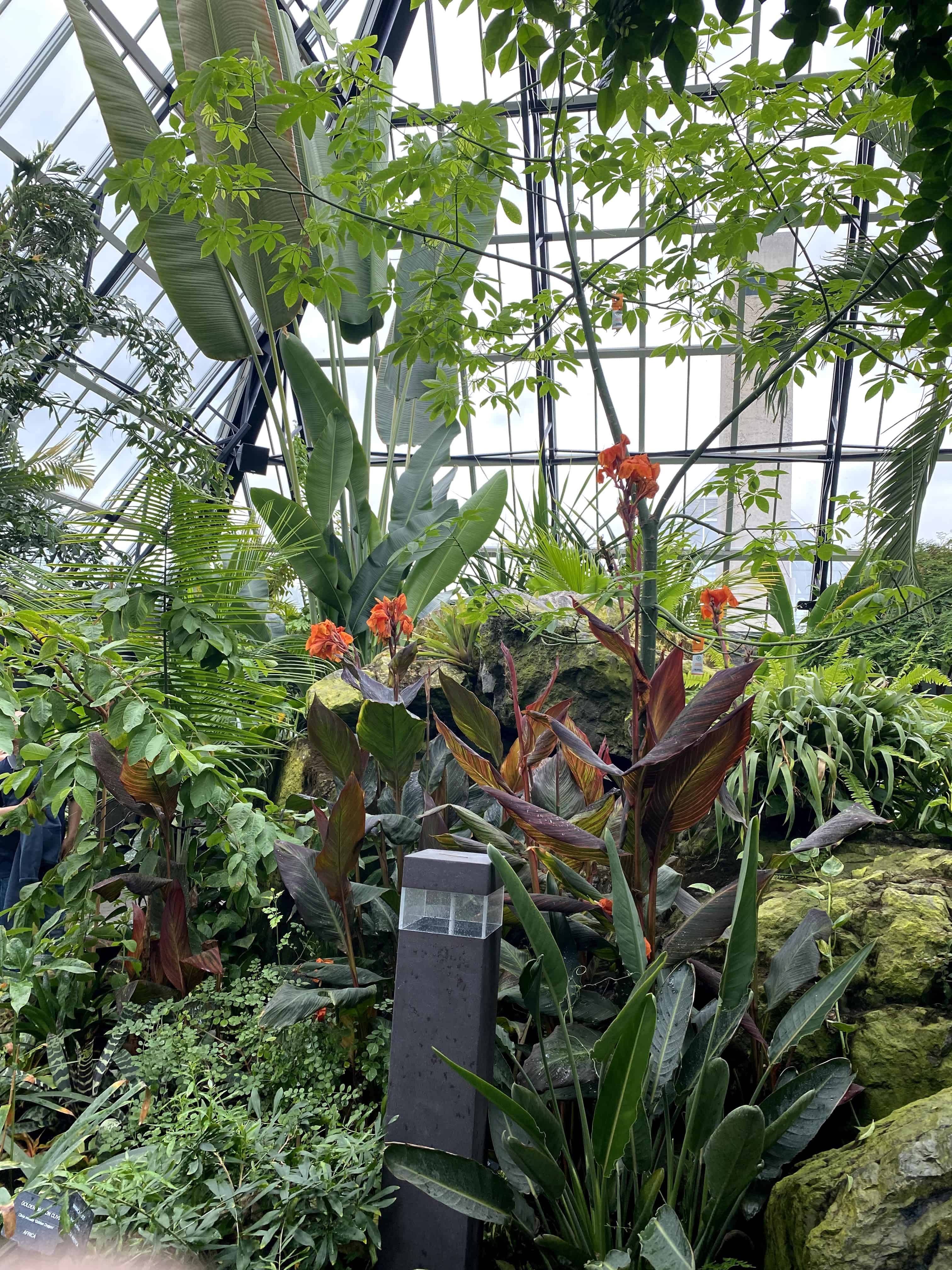 No matter which season you visit, you will be treated to the flora and splendour in each in Pyramid.