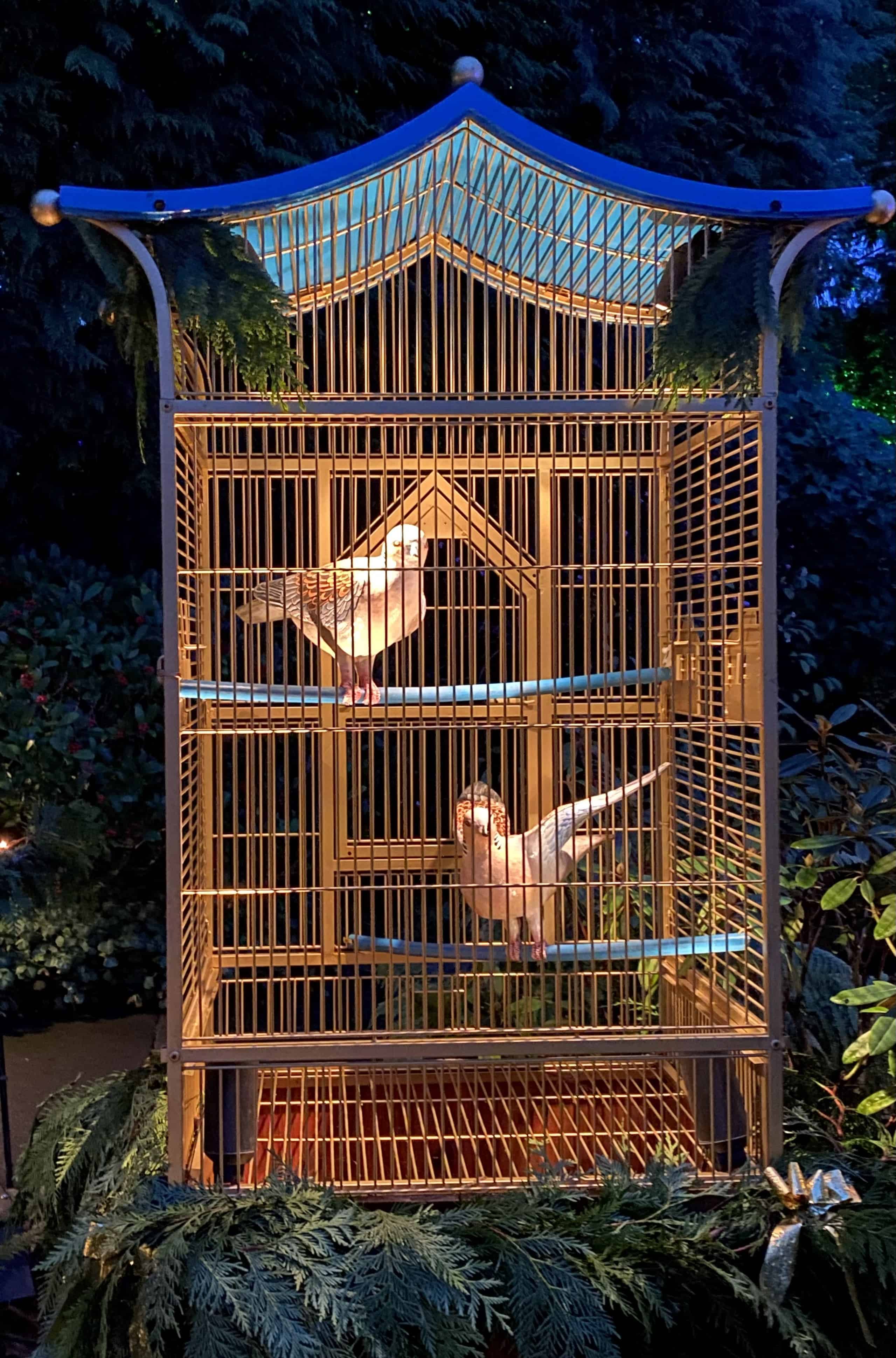 This is part of the 12 days of Christmas display, specifically two turtle doves.  