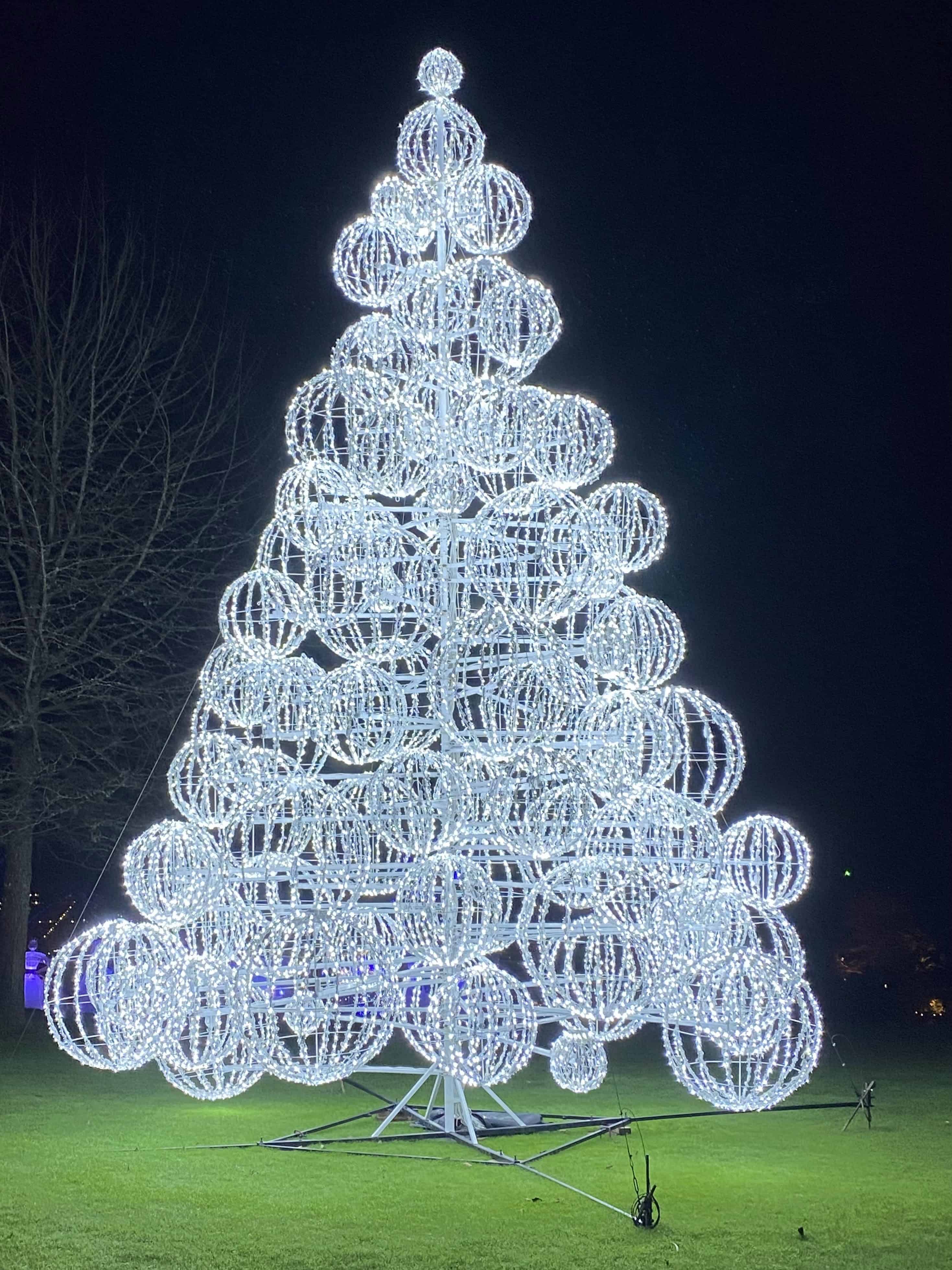 Yet another awesome light display.  Note the green grass underneath the lights.  Victoria BC is especially green in the winter, due to the additional rainfall.