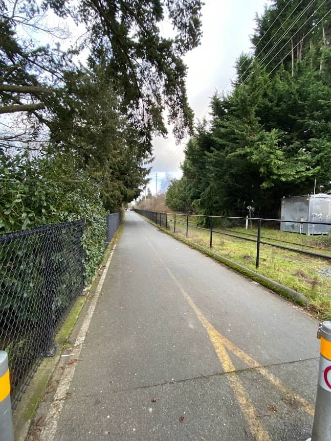 Trail with greenery on either side