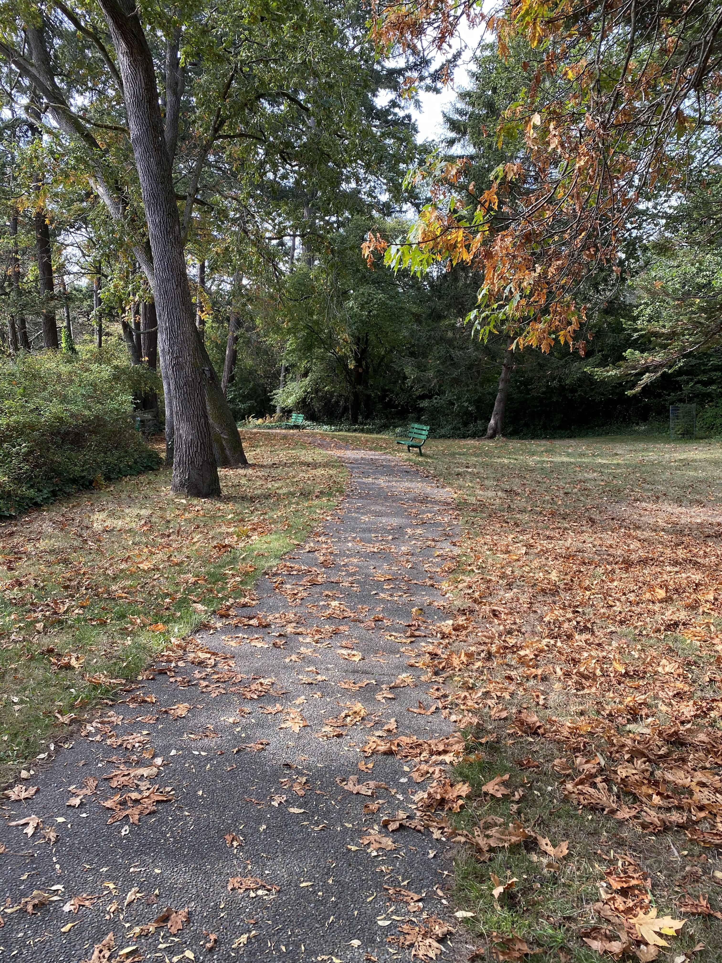 Barnard Park in the autumn