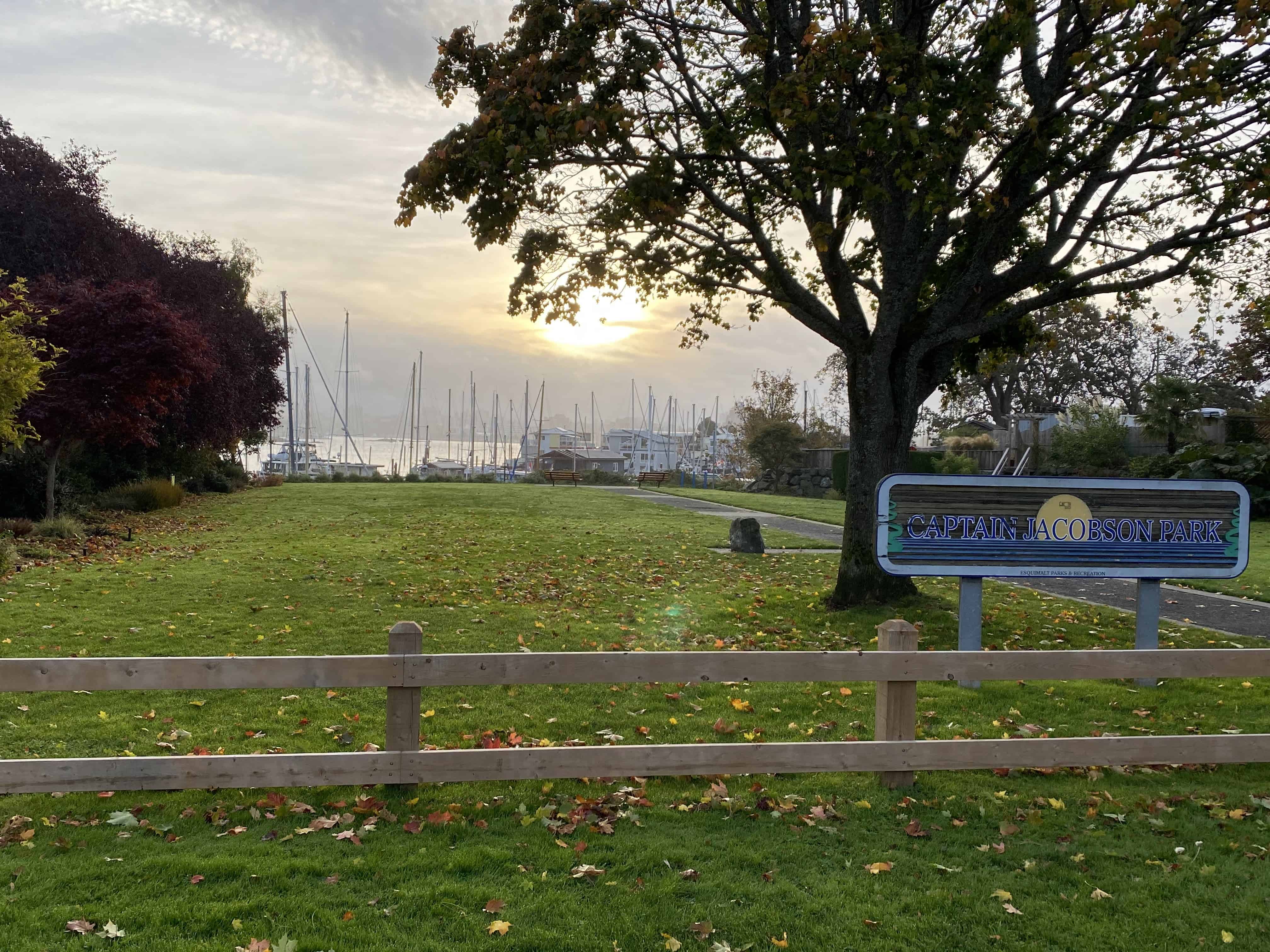 Esquimalt BC Parks - Captain Jacobsen Park in the morning