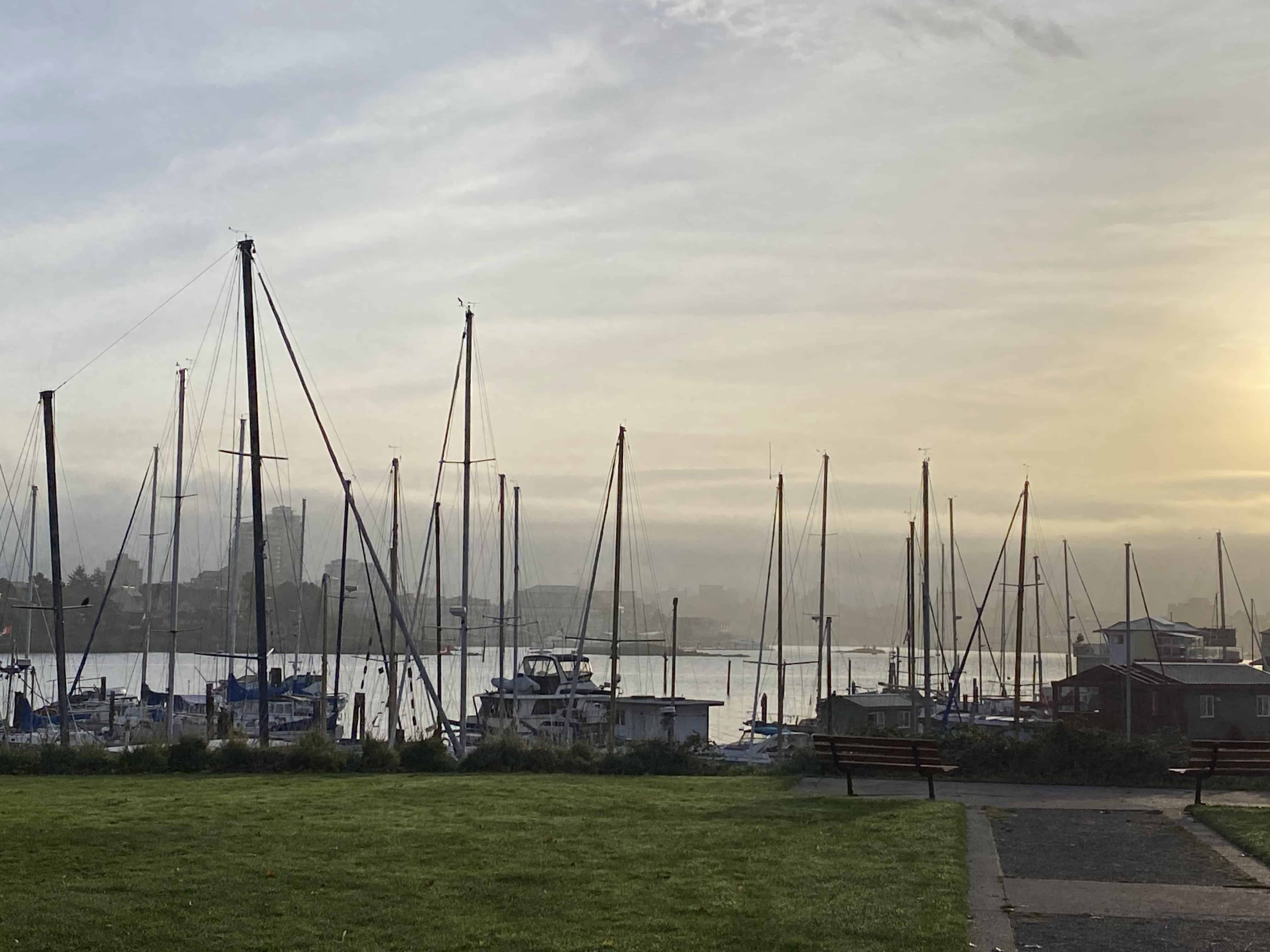 View of the marina from Captain Jacobson Park