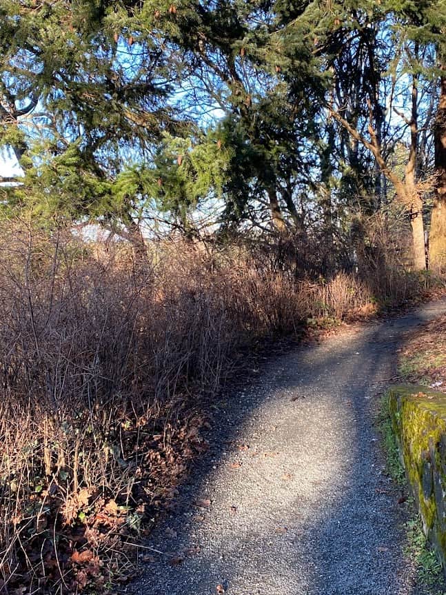 Wurtele Park is a small park close to Victoria BC