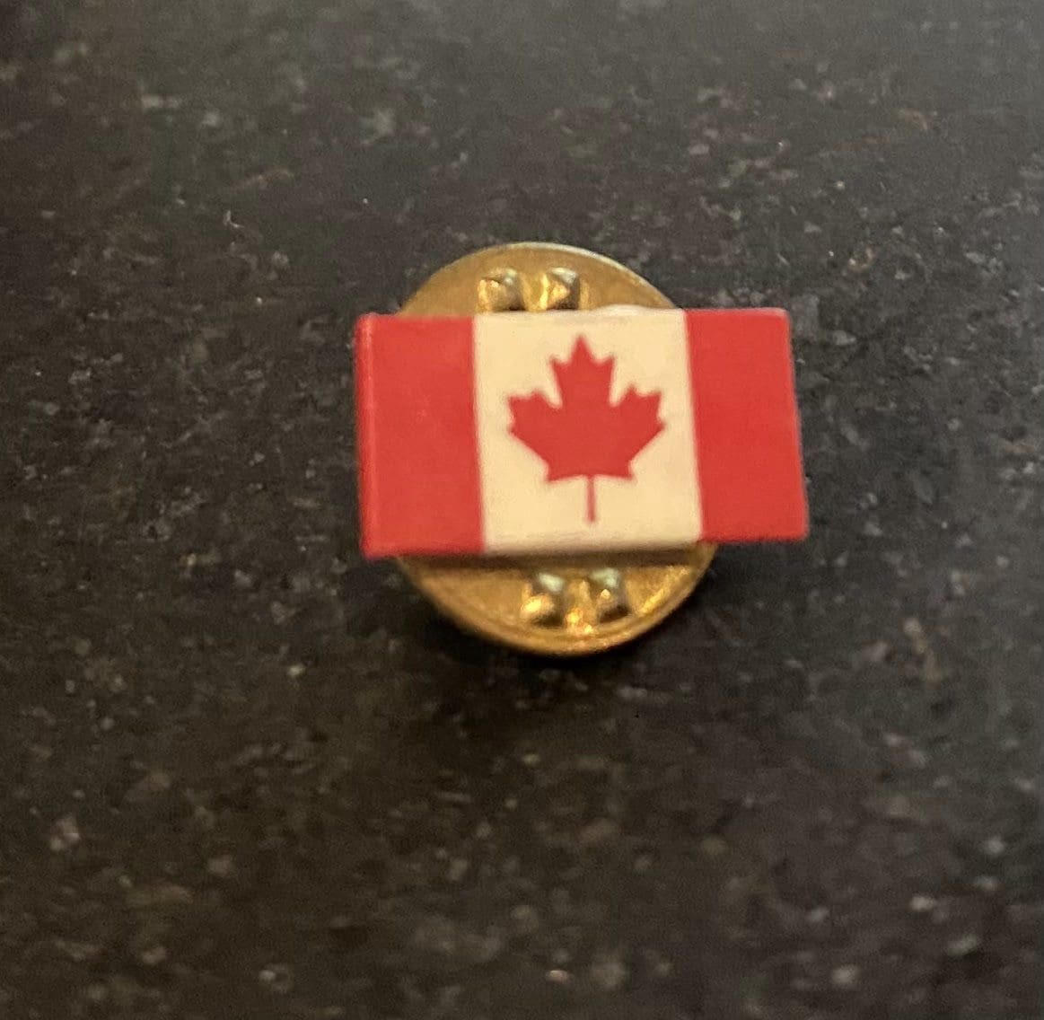 Small lapel pin