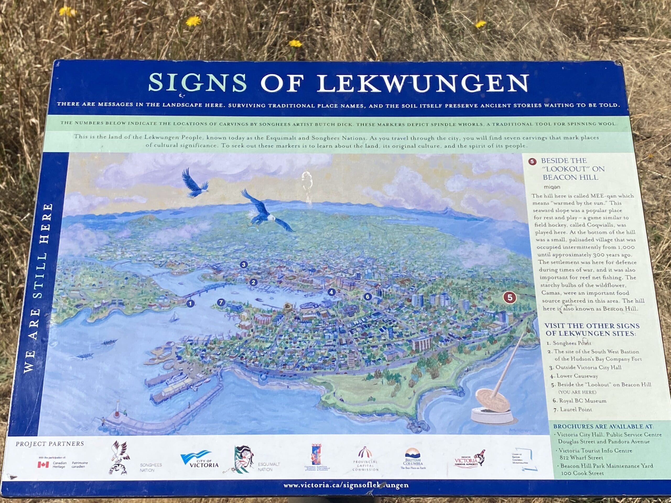 This is a description of the Signs of Lekwungen "Beside the Lookout on Beacon Hill". 