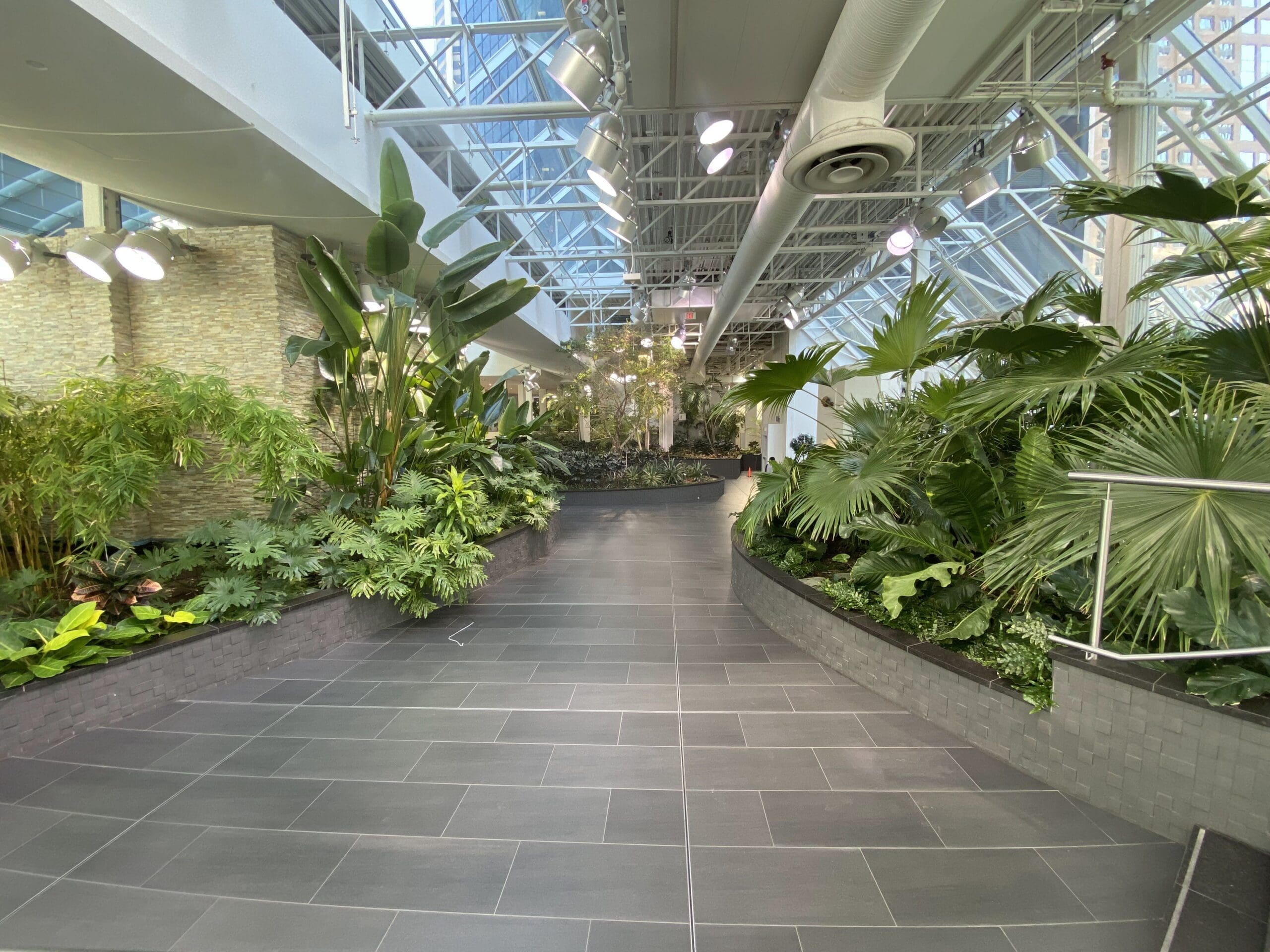 Many wide pathways take you through the lush and well maintained Devonian Gardens.